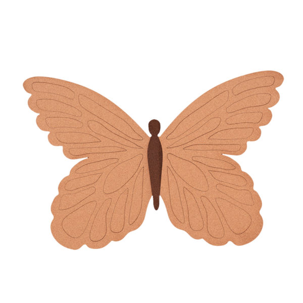 Nástěnka motýla