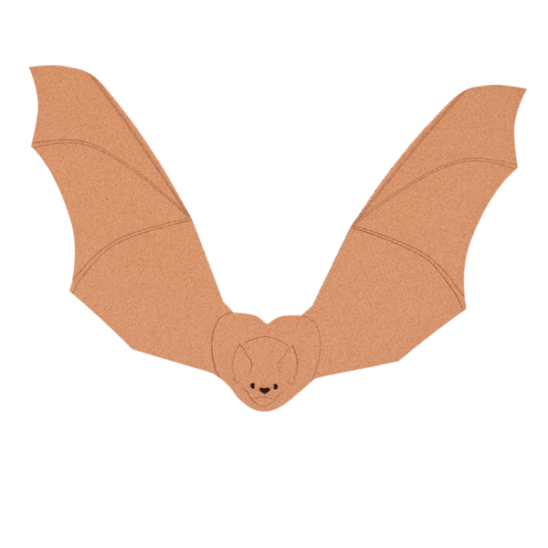 Nástěnka netopýr
